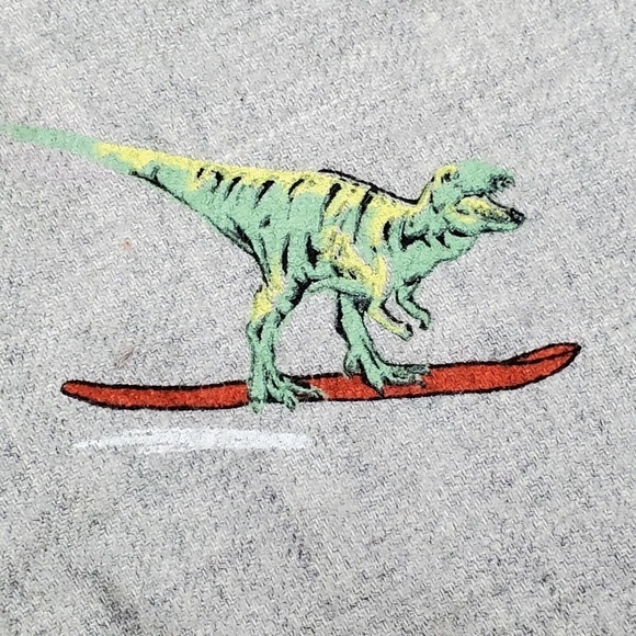 Cat & Jack™ Boys' Shirt Dino Long Sleeve Button-Down Gray XLH(16) - Picture 3 of 9